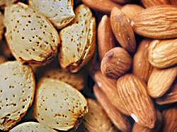 Dry Fruits