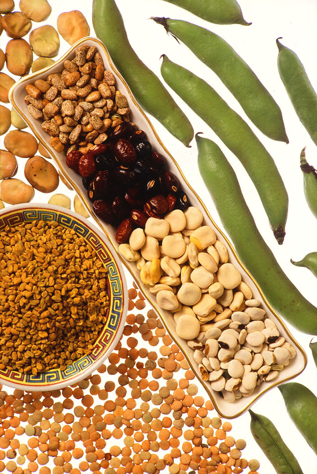 Pulses