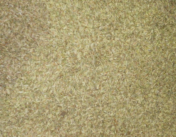 Cumin Seeds